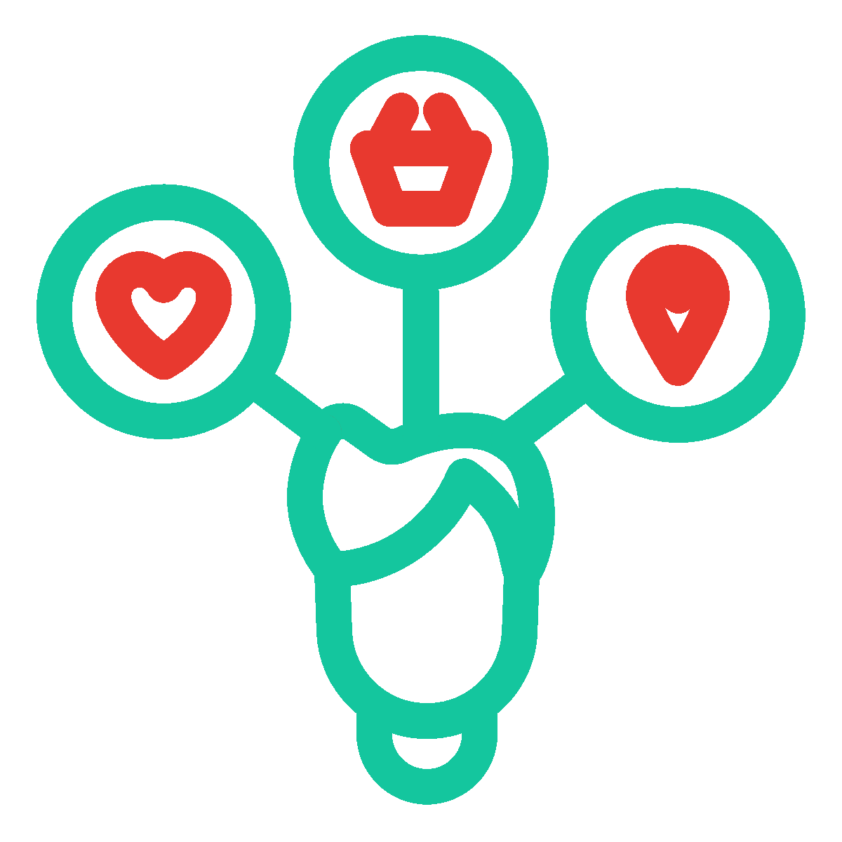 11.-customer-insights-11.-support-coordination